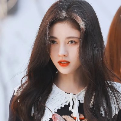 牢笼的熊